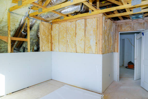 Best Insulation for New Construction  in Lake Odessa, MI